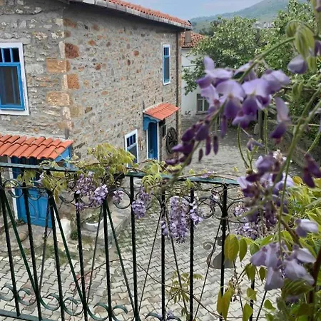 Maison Arzu & Mebrure