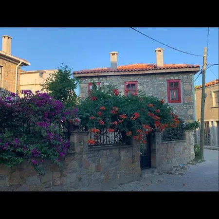 Maison Arzu & Mebrure *